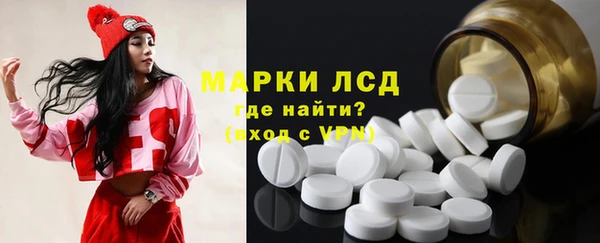 дмт Алзамай